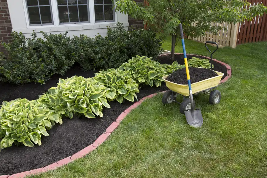Backyard Landscaping